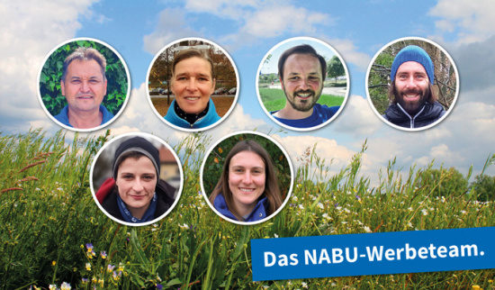 Unser NABU-Werbeteam in Sachsen (v. l. n. r.): René Gewalt, Ricarda Georgi, Sören Roeßler, Marco Frech (oben), Patricia Pink, Julia Grosser (unten). Grafik: Uwe Schröder
