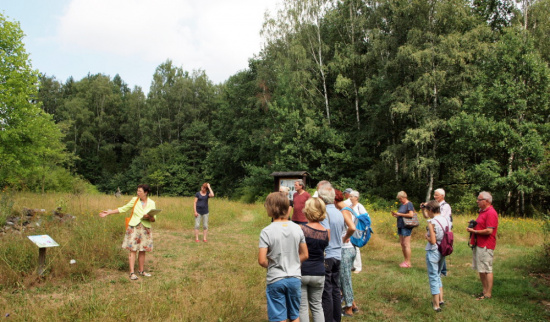 Schmetterlingswiese Nr.1 Foto: Jens Schubert