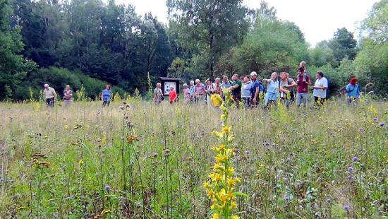 Erfahrungsaustausch auf der Wiese Foto: Frank Nötzold