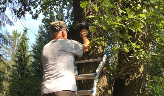 Inspektion der Fledermaus-Sommerquartiere Foto: Dieter Schilde