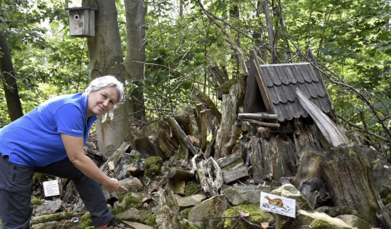 Umweltpädagogin Silke Schubert bringt vor allem jungen Leuten das wichtige Thema Natur/Umwelt näher. Foto: Uwe Schönberner