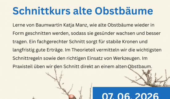 Foto: Flyer erstellt von Sylvia Malz
